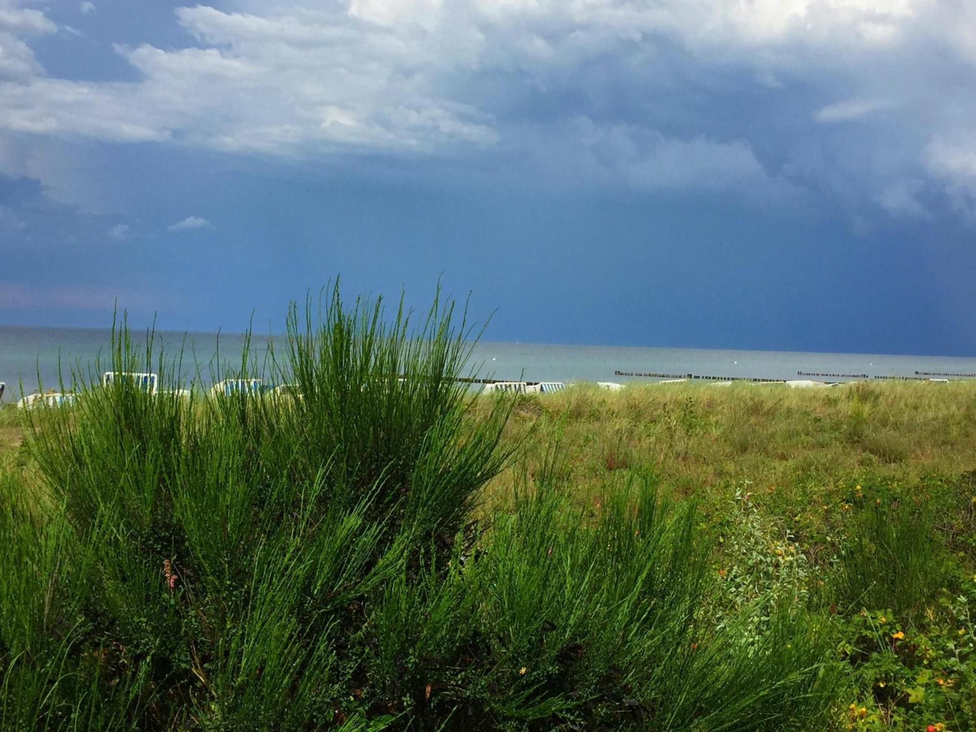 Strandstrasse-32-App-41 Ostseebad Kühlungsborn المظهر الخارجي الصورة